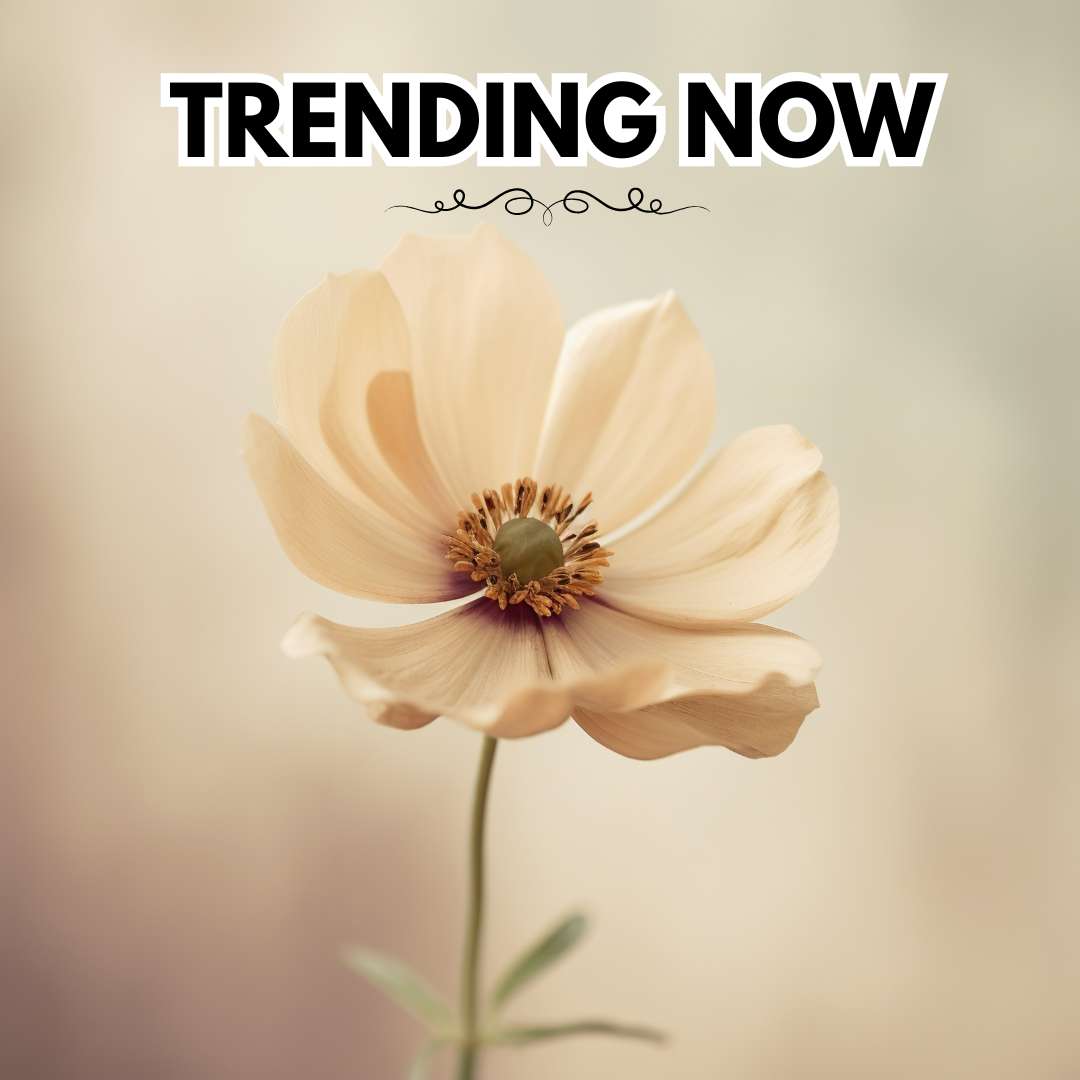Trending Now